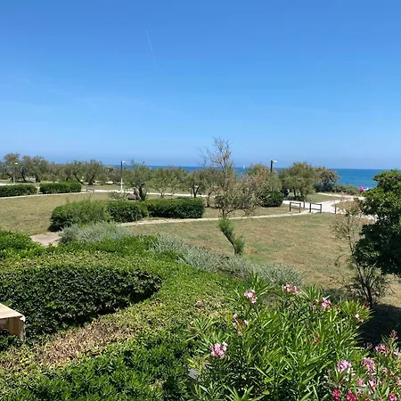 Cap D'agde 40m2 Face A La *