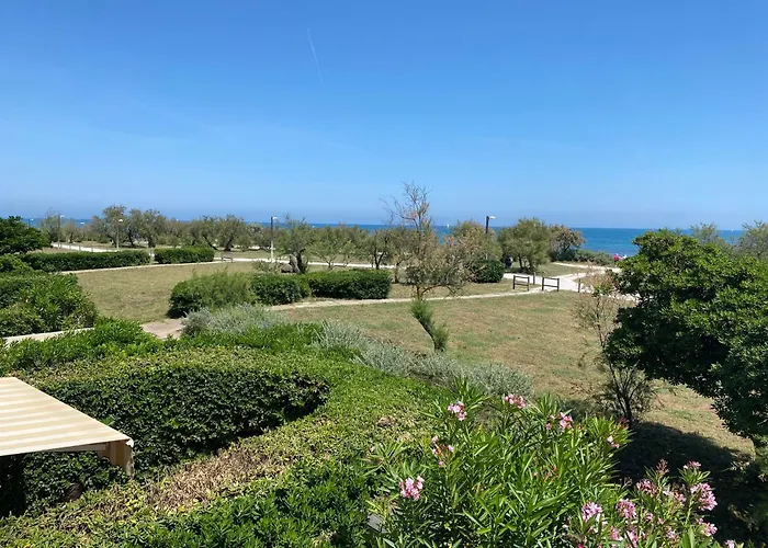 Cap D'agde 40m2 Face A La *