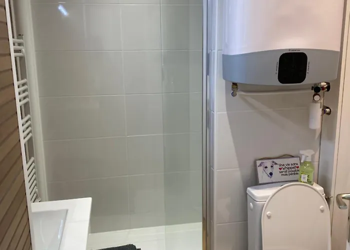 Cap D'agde 40m2 Face A La * Agde