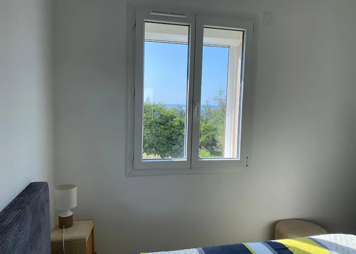 Cap D'agde 40m2 Face A La *